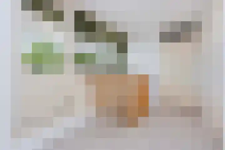 Frans van Mierishage 8 Nieuwegein thumbnail 29