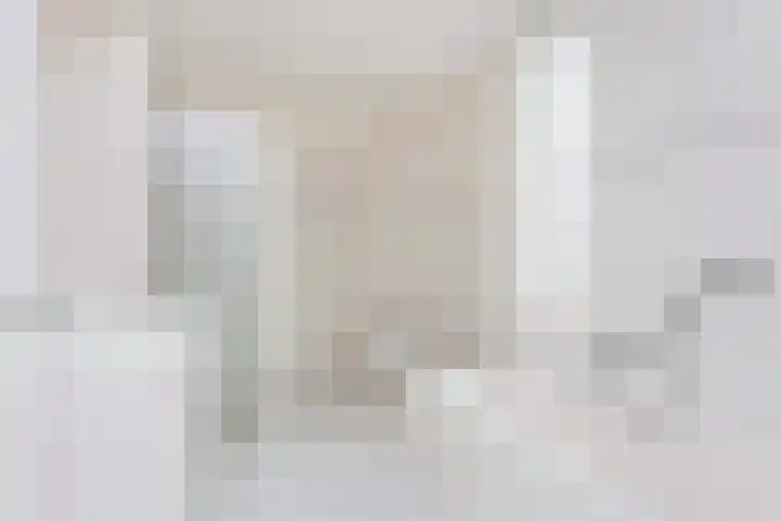 Frans van Mierishage 8 Nieuwegein thumbnail 33