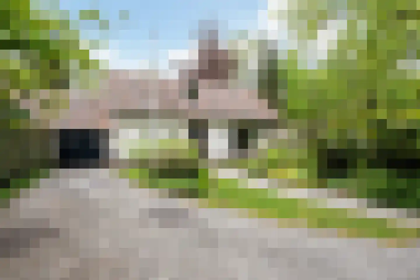 Frans van Mierislaan 10 Huis ter Heide thumbnail 10