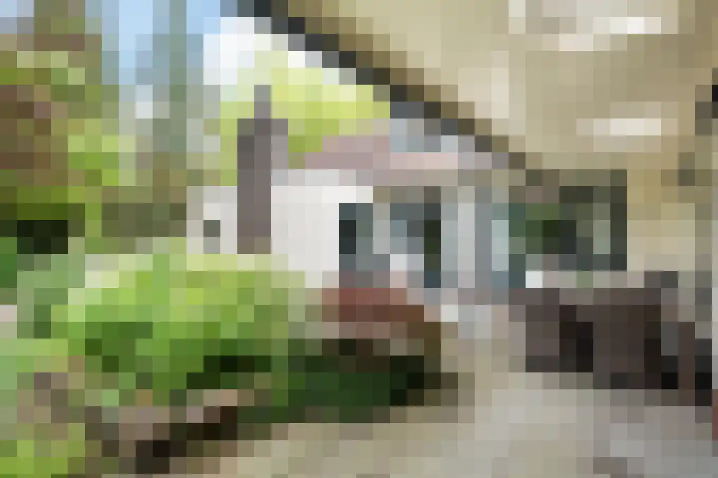 Frans van Mierislaan 10 Huis ter Heide foto 2