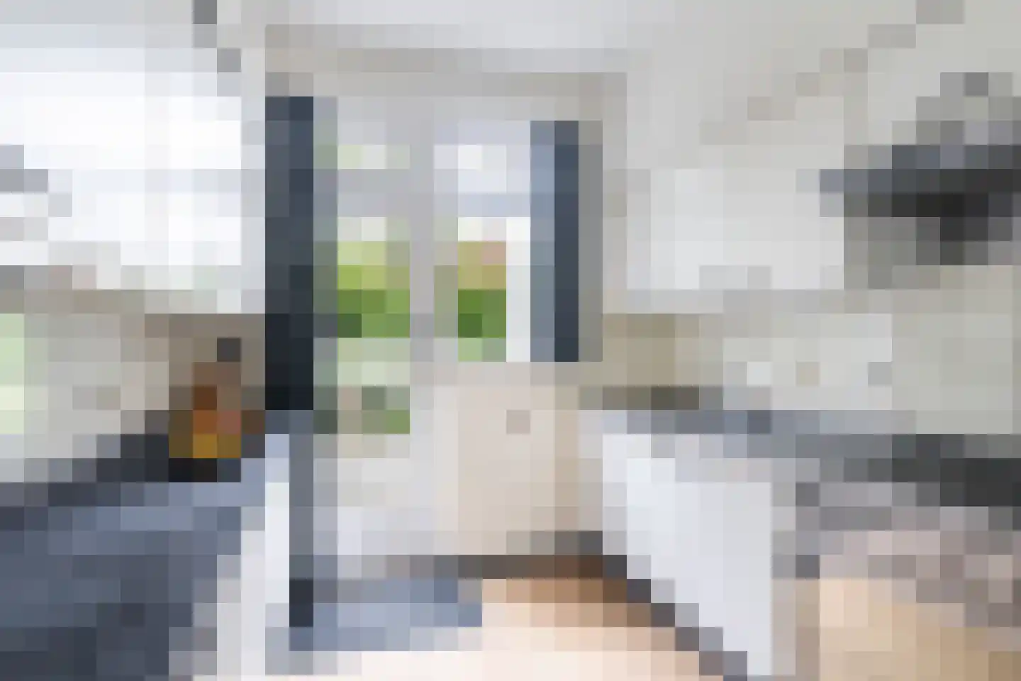 Frans van Mierislaan 10 Huis ter Heide thumbnail 21