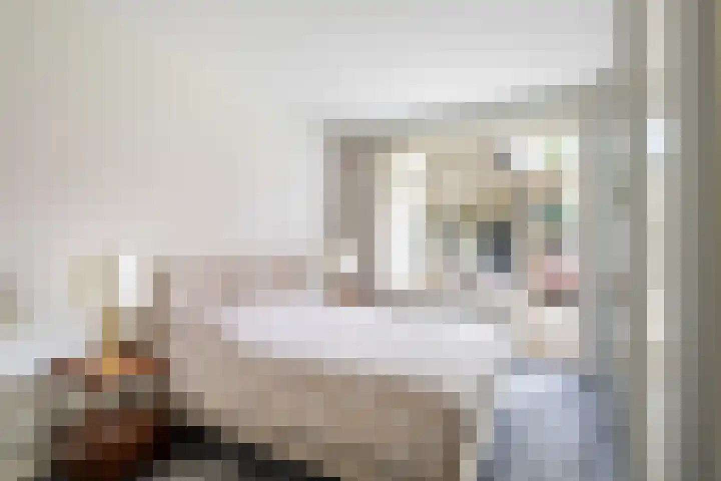 Frans van Mierislaan 10 Huis ter Heide thumbnail 23