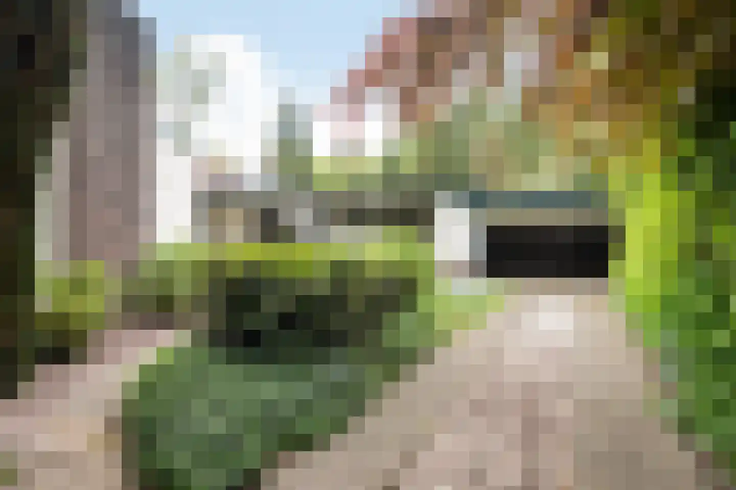 Frans van Mierislaan 10 Huis ter Heide foto 3