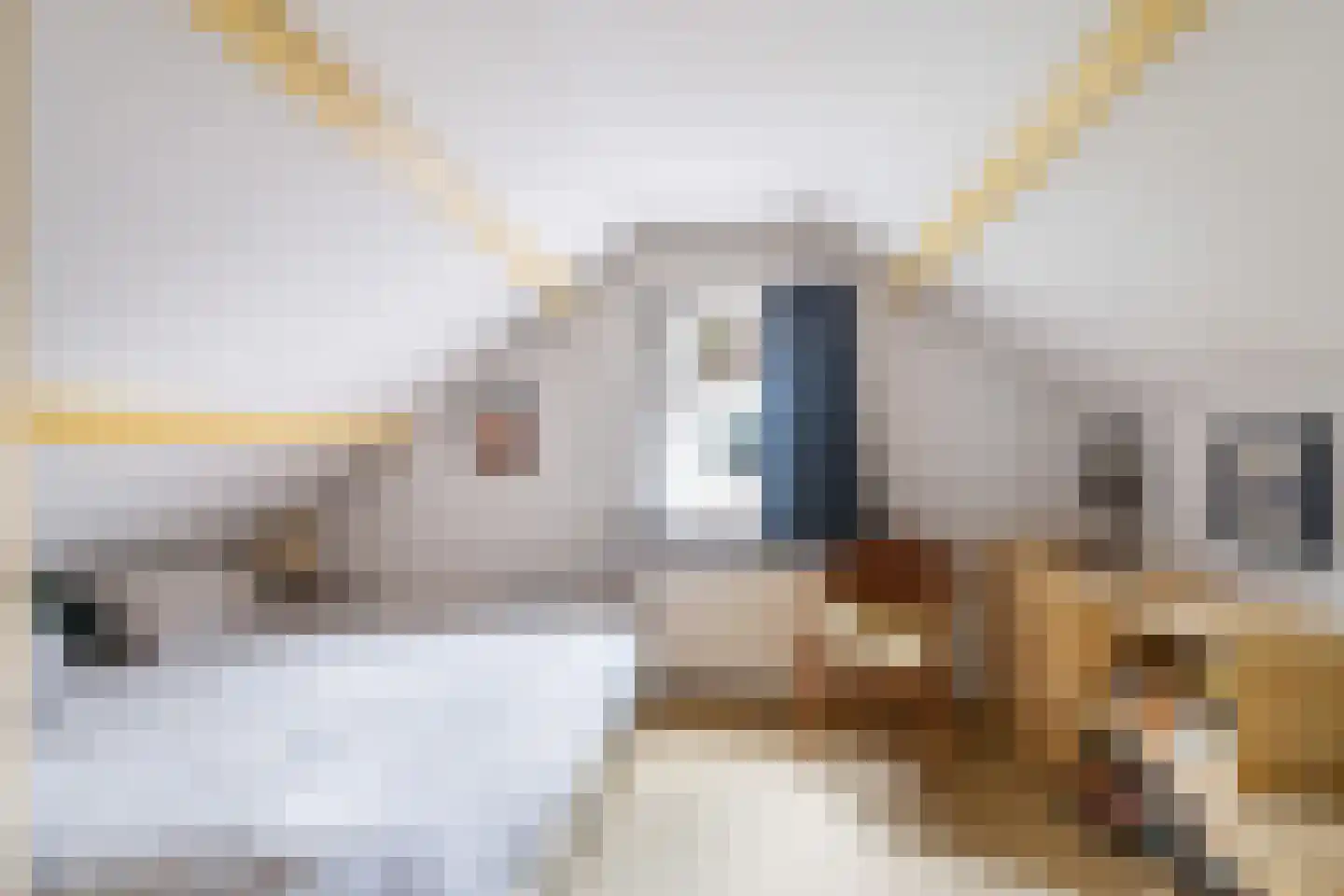 Frans van Mierislaan 10 Huis ter Heide thumbnail 31