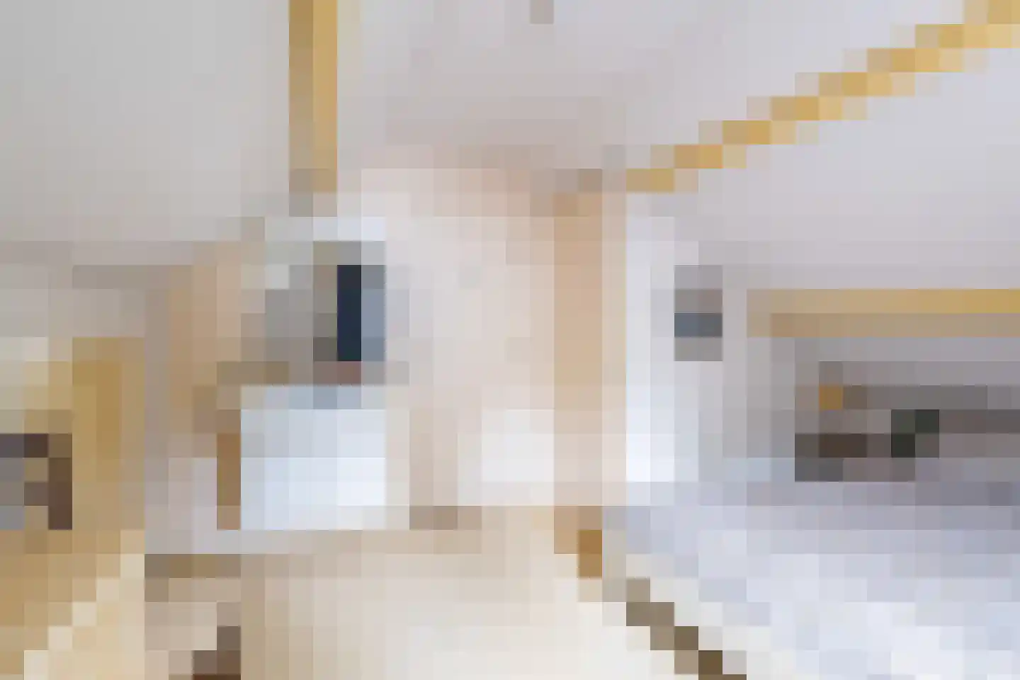 Frans van Mierislaan 10 Huis ter Heide thumbnail 33