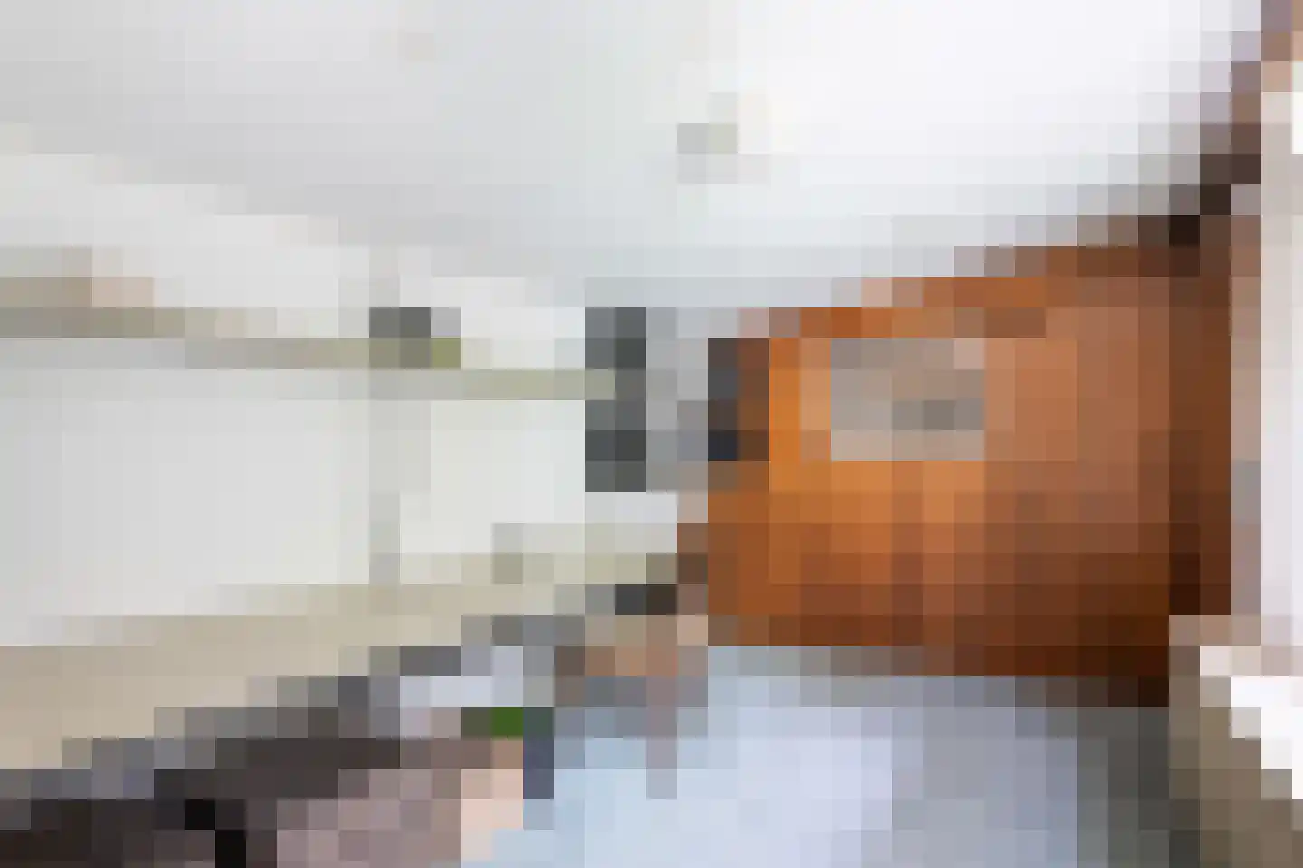 Frans van Mierislaan 10 Huis ter Heide thumbnail 39
