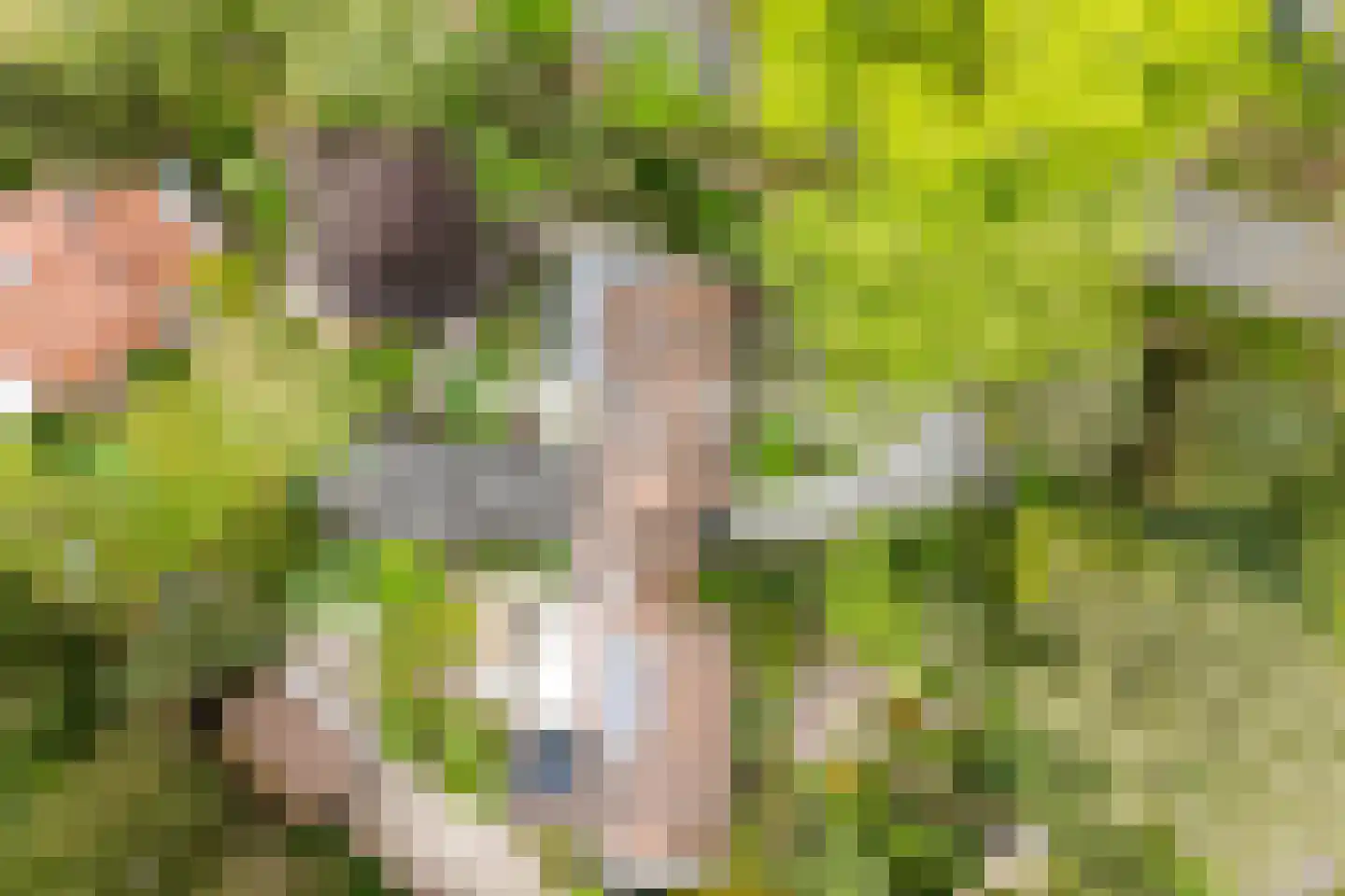 Frans van Mierislaan 10 Huis ter Heide thumbnail 4