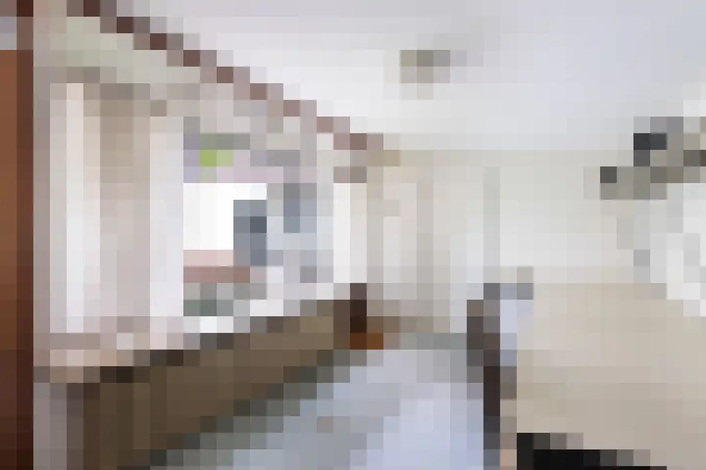 Frans van Mierislaan 10 Huis ter Heide thumbnail 40