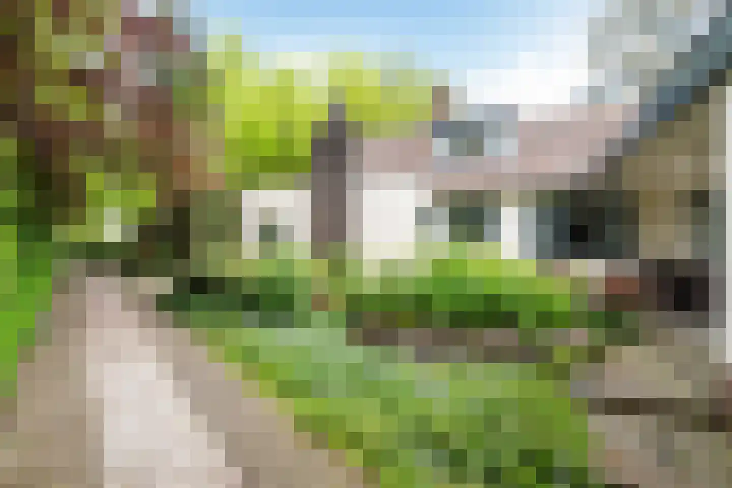 Frans van Mierislaan 10 Huis ter Heide thumbnail 44