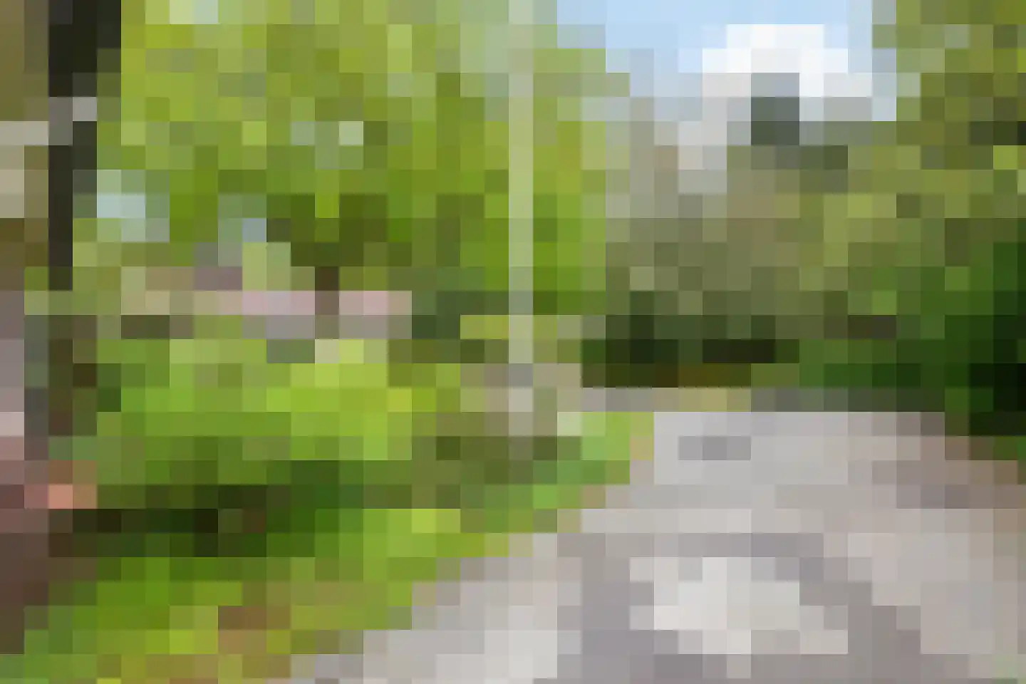 Frans van Mierislaan 10 Huis ter Heide thumbnail 47