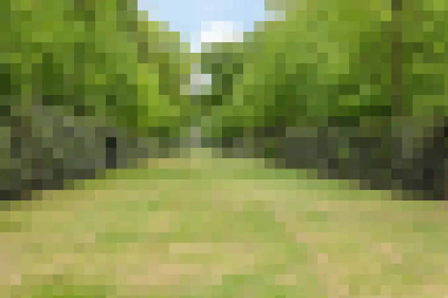 Frans van Mierislaan 10 Huis ter Heide thumbnail 49