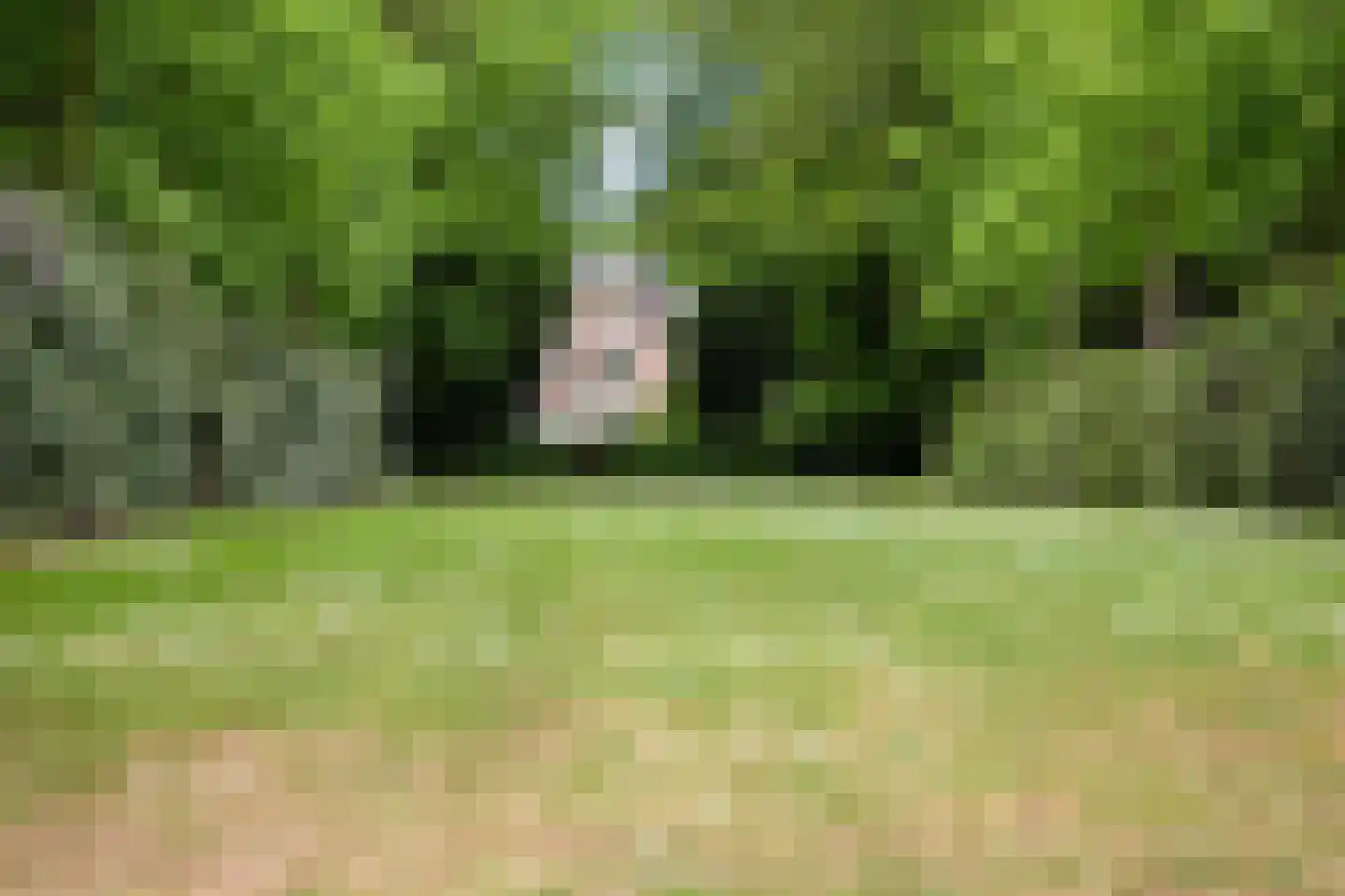 Frans van Mierislaan 10 Huis ter Heide thumbnail 50