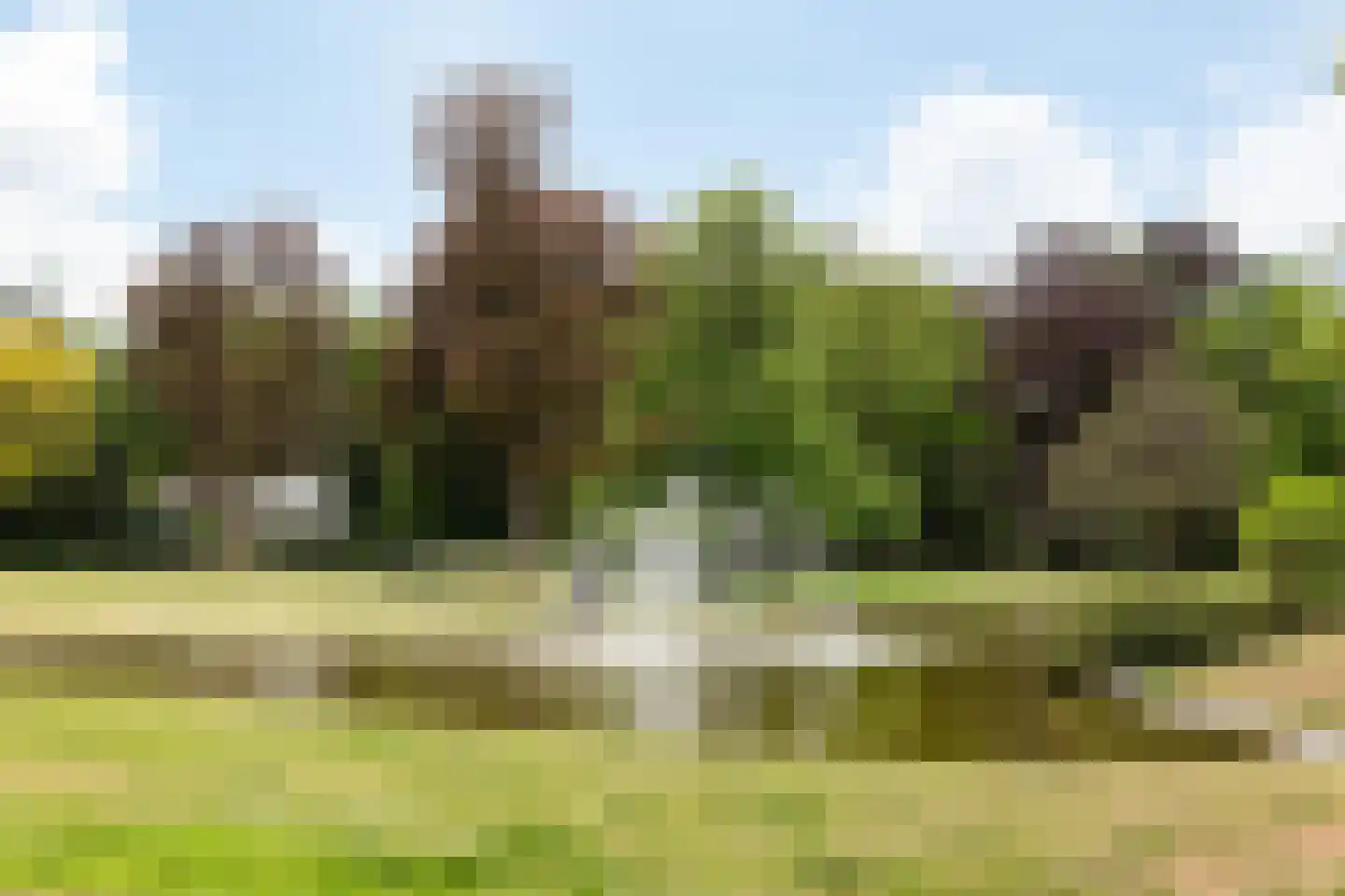 Frans van Mierislaan 10 Huis ter Heide thumbnail 51