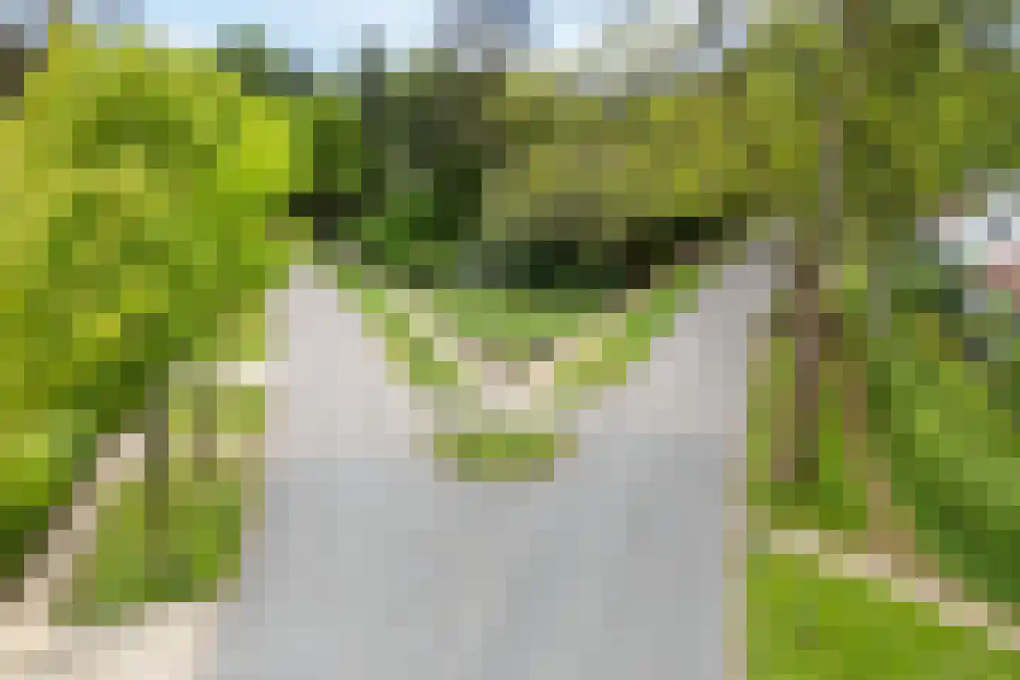 Frans van Mierislaan 10 Huis ter Heide thumbnail 52