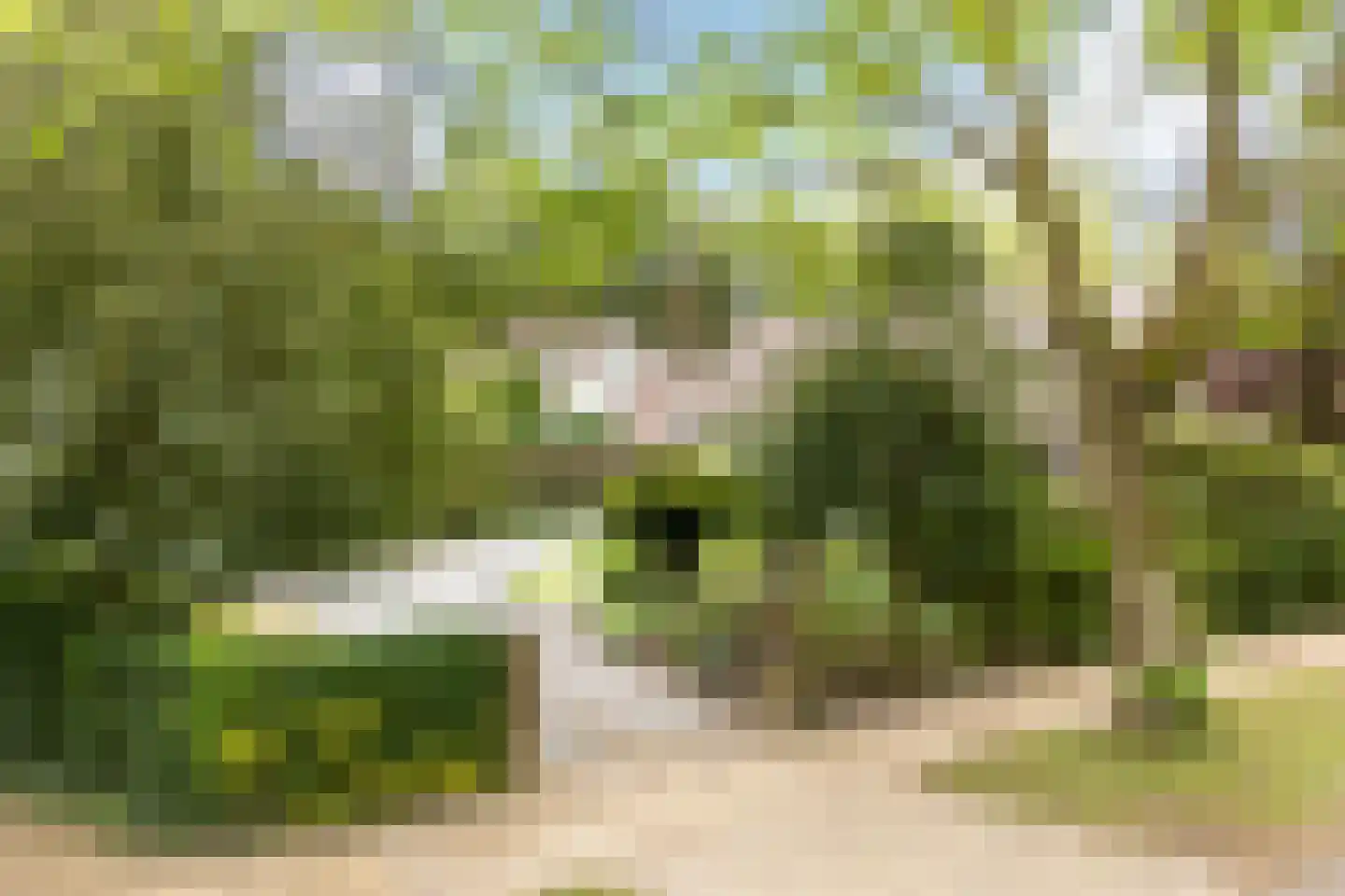 Frans van Mierislaan 10 Huis ter Heide thumbnail 53