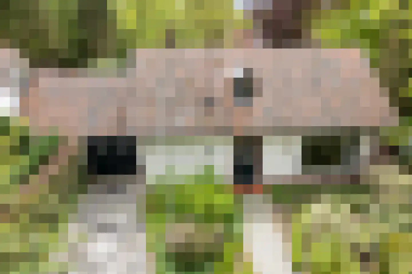 Frans van Mierislaan 10 Huis ter Heide thumbnail 54