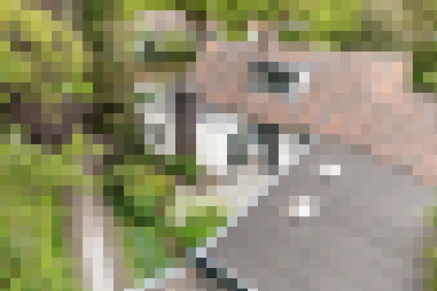 Frans van Mierislaan 10 Huis ter Heide thumbnail 55