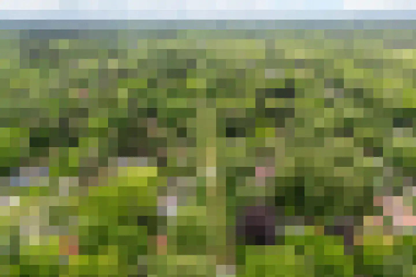 Frans van Mierislaan 10 Huis ter Heide thumbnail 58
