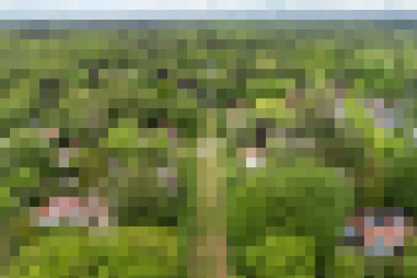 Frans van Mierislaan 10 Huis ter Heide thumbnail 59