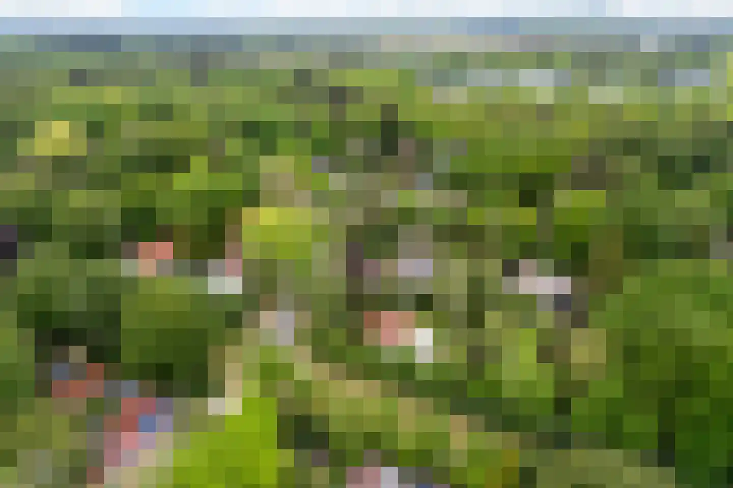Frans van Mierislaan 10 Huis ter Heide thumbnail 60