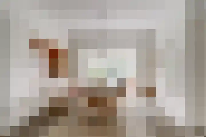 Frans van Mierislaan 22 Hilversum thumbnail 17