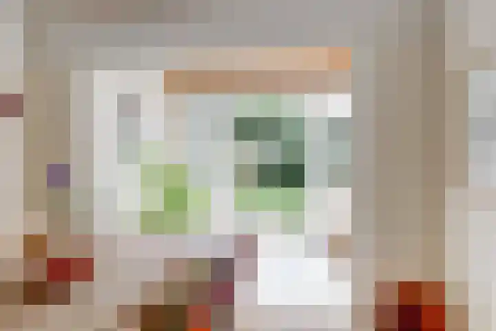 Frans van Mierislaan 22 Hilversum thumbnail 20