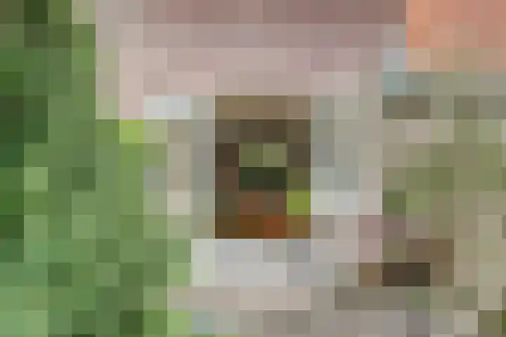 Frans van Mierislaan 22 Hilversum thumbnail 21