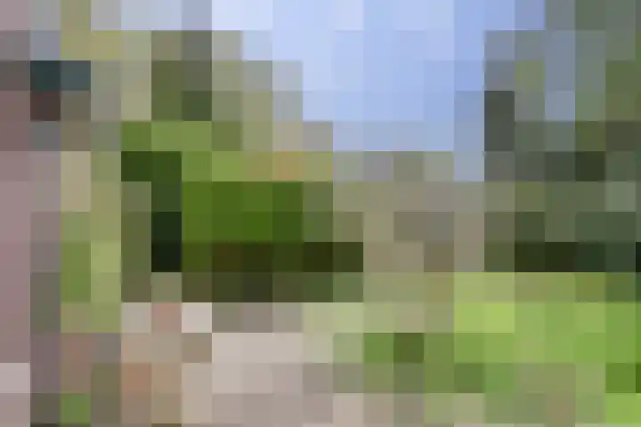 Frans van Mierislaan 22 Hilversum thumbnail 22