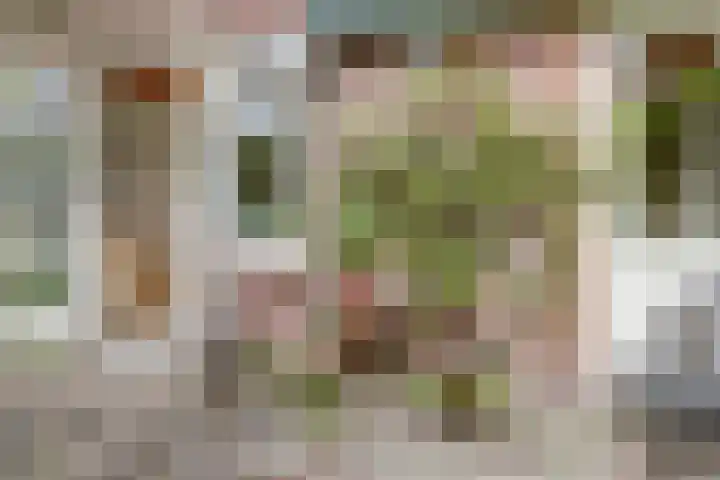 Frans van Mierislaan 22 Hilversum thumbnail 24