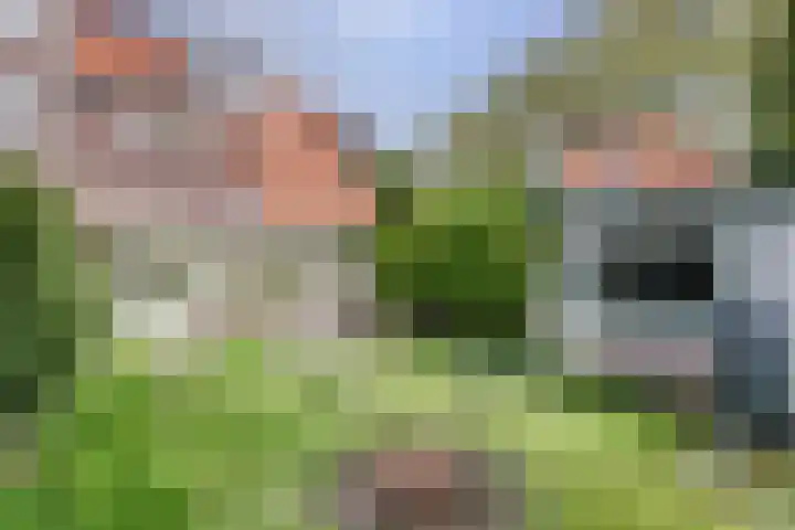 Frans van Mierislaan 22 Hilversum thumbnail 25