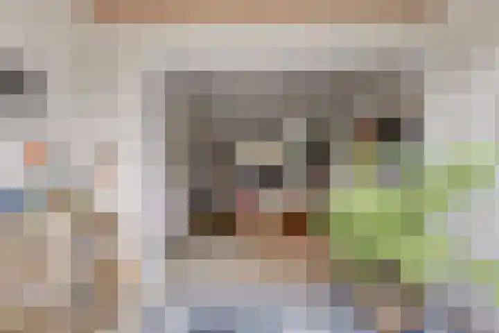 Frans van Mierislaan 22 Hilversum thumbnail 27