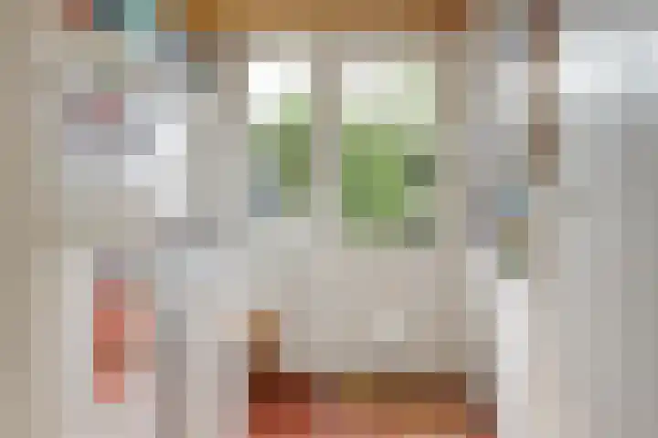 Frans van Mierislaan 22 Hilversum thumbnail 33