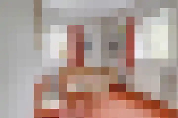 Frans van Mierislaan 22 Hilversum thumbnail 44