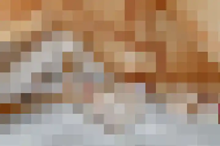 Frans van Mierislaan 22 Hilversum thumbnail 49