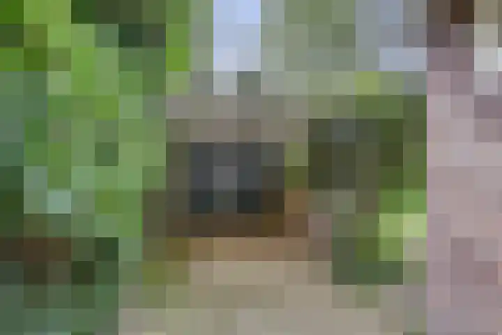 Frans van Mierislaan 22 Hilversum thumbnail 51
