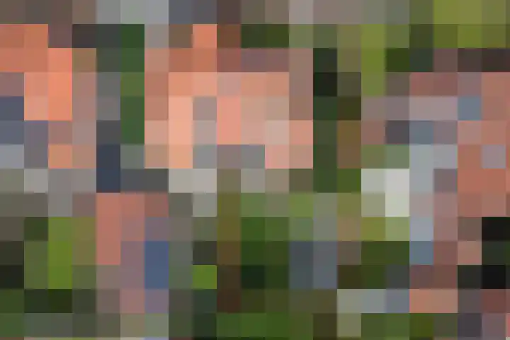 Frans van Mierislaan 22 Hilversum thumbnail 52