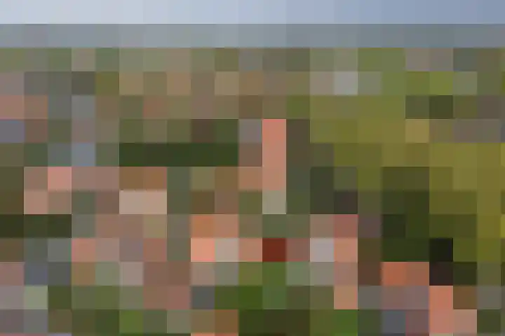 Frans van Mierislaan 22 Hilversum thumbnail 53