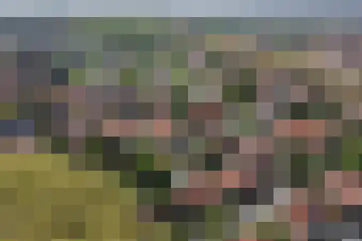 Frans van Mierislaan 22 Hilversum thumbnail 55