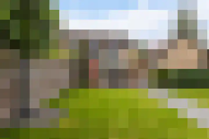 Frans van Mierisstraat 10 Apeldoorn thumbnail 13