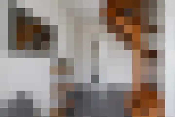 Frans van Mierisstraat 10 Apeldoorn thumbnail 20