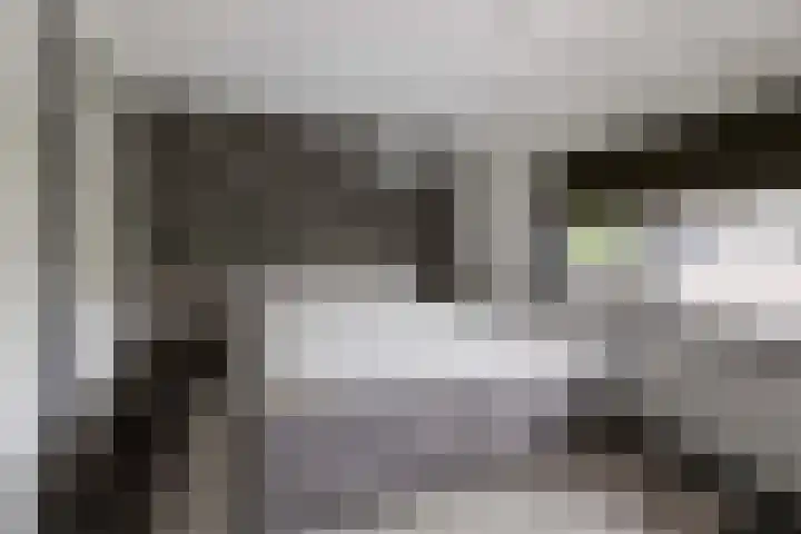 Frans van Mierisstraat 10 Apeldoorn thumbnail 23