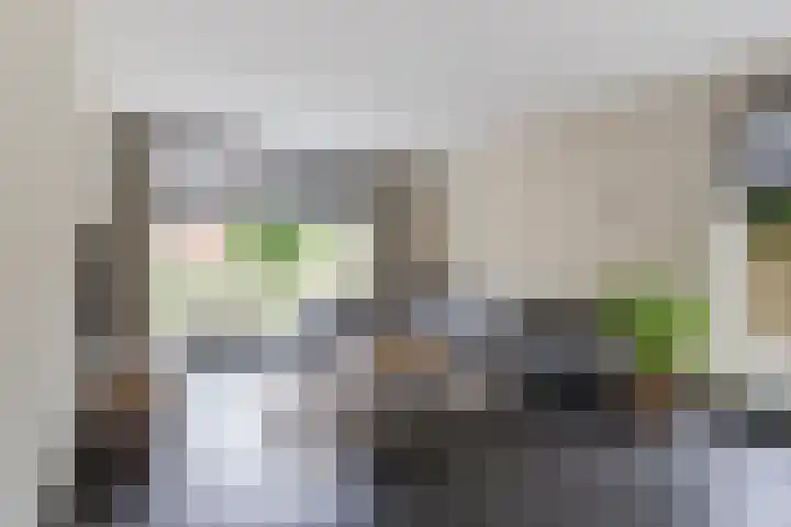 Frans van Mierisstraat 10 Apeldoorn thumbnail 4