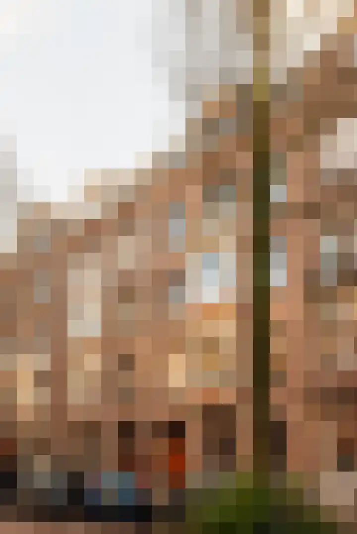 Frans van Mierisstraat 107 H Amsterdam thumbnail 51