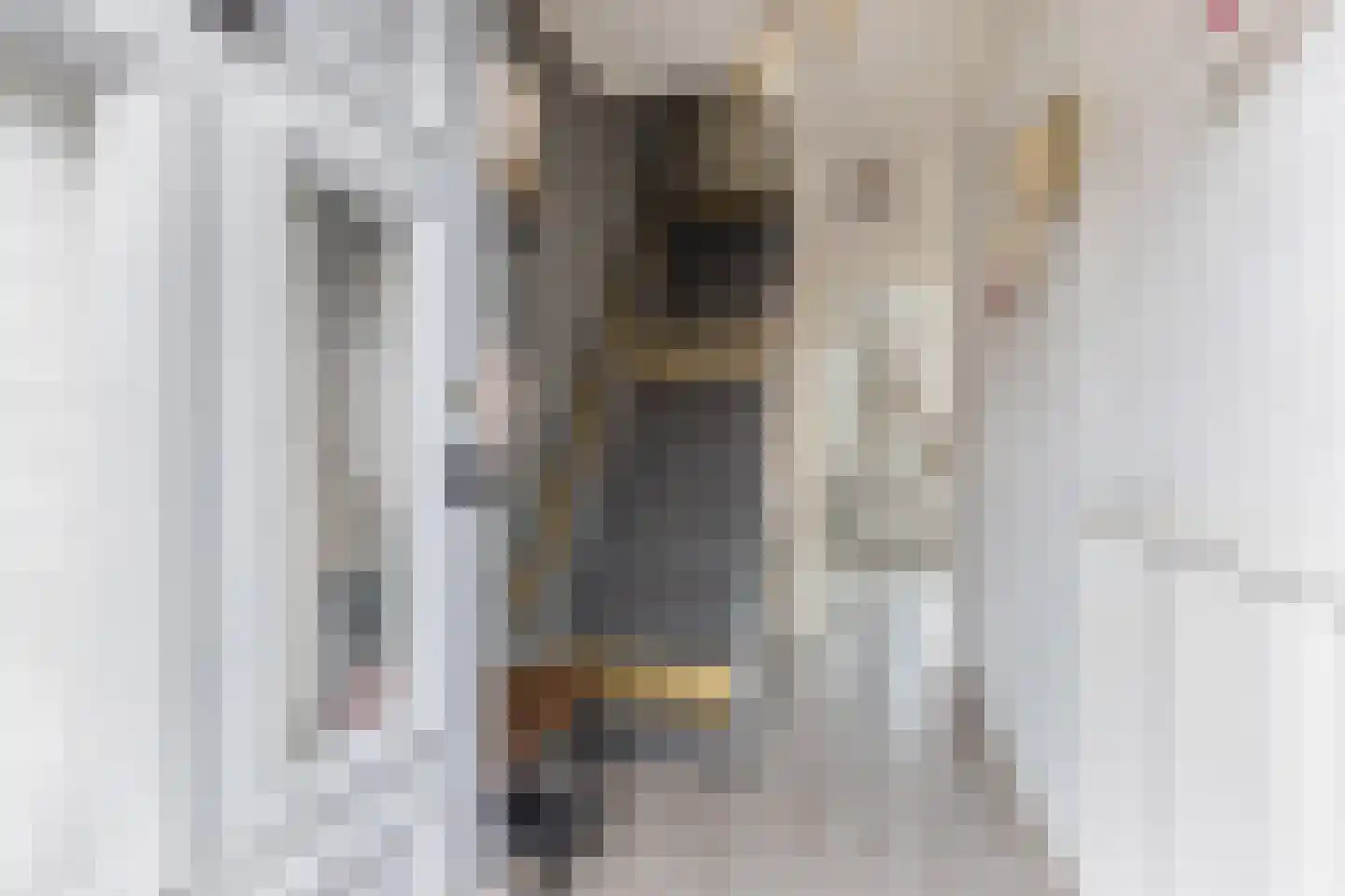 Frans van Mierisstraat 11 Leeuwarden thumbnail 6