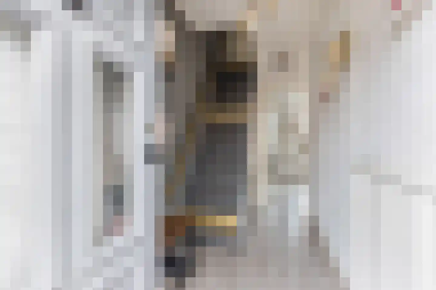 Frans van Mierisstraat 11 Leeuwarden thumbnail 6