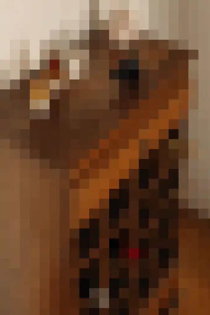 Frans van Mierisstraat 121 B Amsterdam thumbnail 7