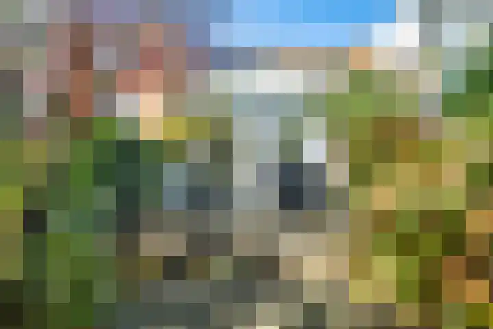 Frans van Mierisstraat 13 Leiden