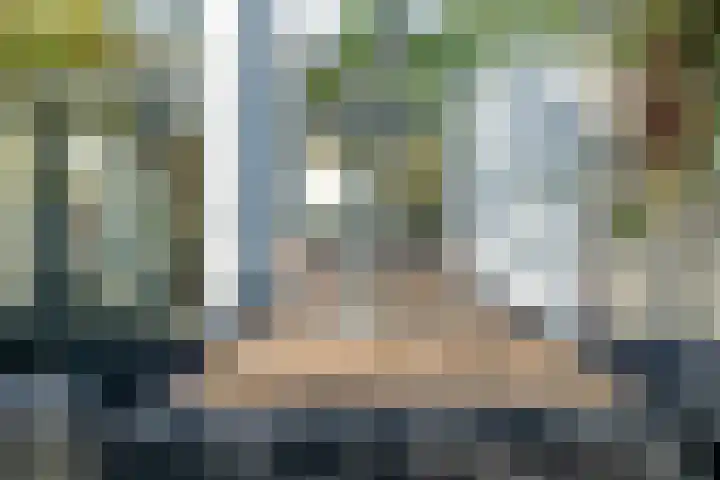 Frans van Mierisstraat 13 Leiden thumbnail 16