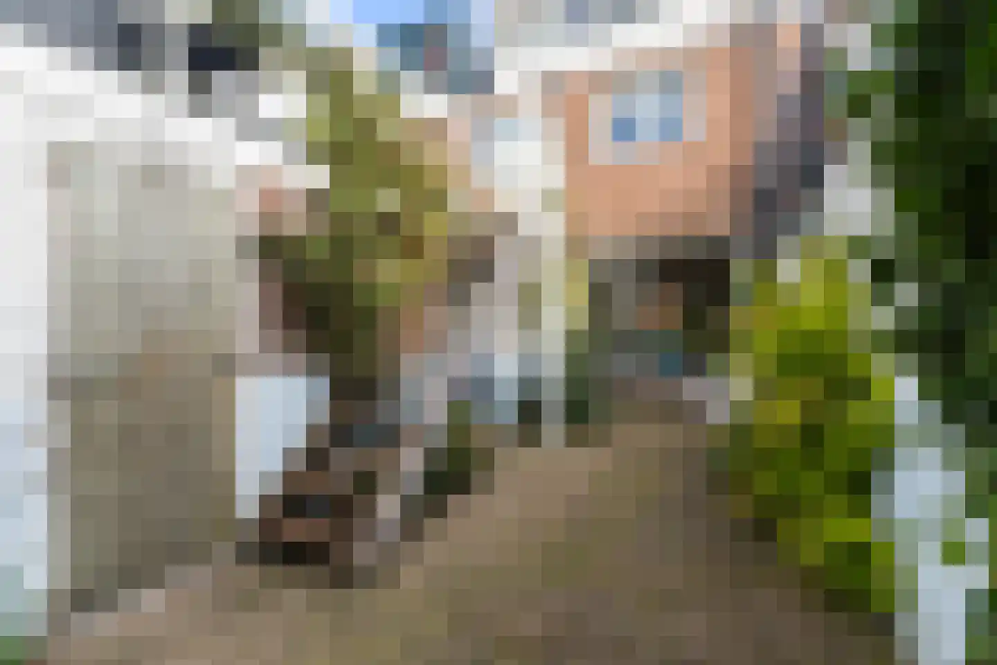 Frans van Mierisstraat 14 Leeuwarden thumbnail 25
