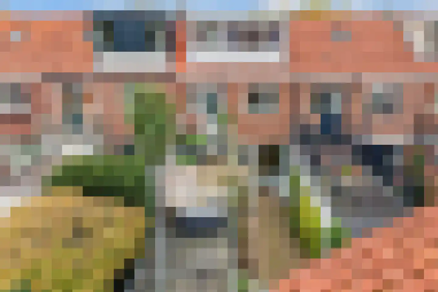 Frans van Mierisstraat 14 Leeuwarden thumbnail 49